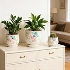 Vintage Flower Pots for Indoor Plant, Round Ceramic Plant Pots with Drainage Holes and Saucers, 6.7/5.2/3.9 Inches Retro Flower Planters Set of 3 (Vintage Butterfly)