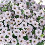 HyeFlora Artificial Fake Hanging White Flowers Plants Basket for Outdoor Outside Fall Winter, Faux Silk Daisy UV Resistant Look Real for Christmas Porch Patio Balcony Home Yard Decoration