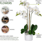 Serene Spaces Living White Realistic Phalaenopsis Orchids in Pot, Artificial Potted Flowers - Beautiful Entryway Vase, Foyer Table Décor, Measures 26" Tall & 5" Diameter, Set of 6