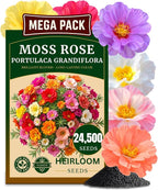 24500+ Moss Rose Seeds, Pack for 2026 USA Premium Non-GMO Flower Seeds Annual Flower for Ground Cover - Heat & Drought Tolerant Moss-Rose Purslane, Eleven O'clock