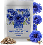 Groundio 6000+ Bachelor Button Seeds Tall Blue, Non-GMO Heirloom Cornflower Seeds, Stunning Blue Wildflower Seeds Easy to Grow, Perfect for Wildflower & Pollinator Gardens (Centaurea cyanus)