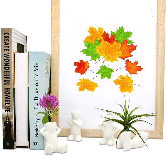 Together-life 4 Pack Ceramic Air Plant Holder, Cute Air Planter Table Top Display Planters for DIY Planting Home Office Decoration Supplies