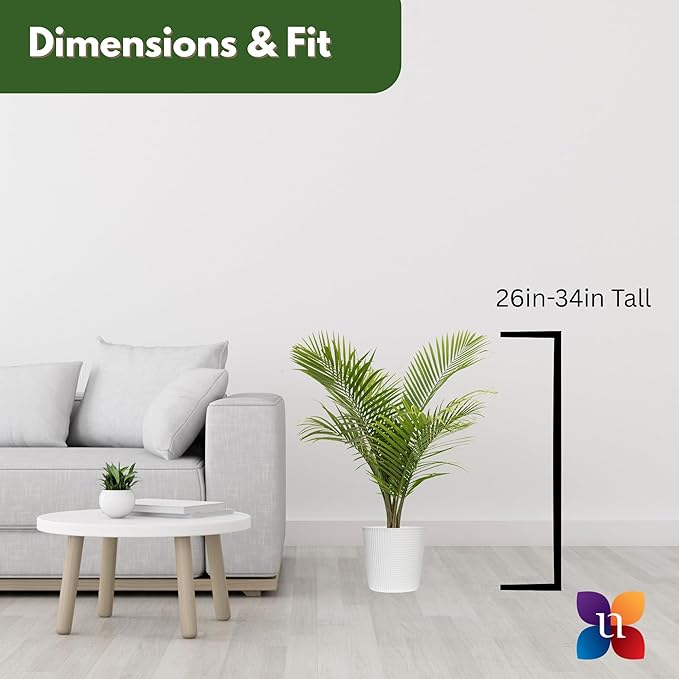 Majesty Palm Live Plant by United Nursery, Large Indoor House Plant, 32-36 inches Tall Tropical Palm Tree in Decorative Pot, Easy Care Large Floor Plant for Home Decor