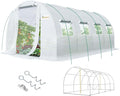 KING BIRD Premium 20x10x6.6FT Greenhouse for Outdoors, Large Walk-in Upgraded Galvanized Metal Frame, Mesh Door Screen Window Improved Zipper Tunnel Hoop for Garden Plant Winter, 2 Stiffeners, White