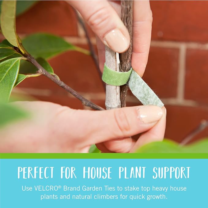 VELCRO Brand Adjustable Plant Ties | 75 ft x 1/2 in Green Garden Tape | Reusable, Cut-to-Length Hook & Loop Plant Support for Staking, Training & Organizing Tomatoes, Vines, and Flowers