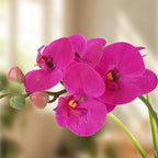 Garvee Real Touch Silk Phalaenopsis Orchid Artificial Flowers - 3 Stems Faux Orchid Bough with Vase, Lifelike Large Fake Flowers in Pot for Home Decor Living Room Bedroom Office Tabletop