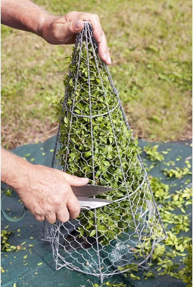 Burgon & Ball GTS/CGGA RHS Topiary Trimming Shears - Large