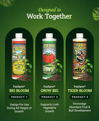 FoxFarm Soil Liquid Trio Pack - Big Bloom, Grow Big, Tiger Bloom Fertilizers Supports Vigorous Plant Growth, Bud Development & Abundant Fruit - Complete Liquid Plant Food Set - 3 Pint Bottles