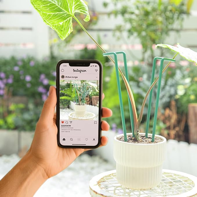 Indoor Plant Stakes – 8.7" U-Shaped Durable Iron Support for Monstera & Potted Plants, Perfect for Small to Medium Climbing Plants, 10-Pack, Ideal for Home Décor & Plant Lovers
