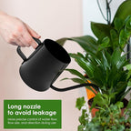12oz/350ml Stainless Steel Plant Watering Pot,Small Watering Can for Indoor Plants,Mini Watering Can with Long Mouth & Ergonomic Handle for Indoor House Plants Flower Bonsai Outdoor Garden(Black)