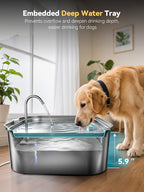 Large Dog Water Fountain 14L/3.7Gal, Stainless Steel Pet Fountain for Large Dogs and Multi-Pets Families, with Visible Window & Extra Wide Drinking Area, Square Design Enlarges Capacity & Saves Space