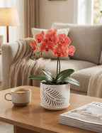 Set of 2 Orchid Pots with Holes, 5 and 6 Inch Ceramic Plant Pots for Plant Lovers – Great for Drainage & Airflow, Indoor/Outdoor Use, Perfect for Repotting
