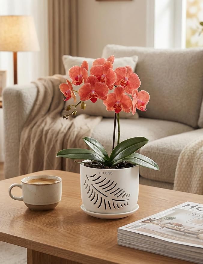 Set of 2 Orchid Pots with Holes, 5 and 6 Inch Ceramic Plant Pots for Plant Lovers – Great for Drainage & Airflow, Indoor/Outdoor Use, Perfect for Repotting