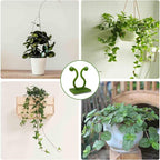 Plant Clips-Plant Climbing Wall Fixture Clips 110PCS, Invisible Clips For Climbing Plants，Self-Adhesive plant wall clips For Plant Support, Sticky Plant Fixture Clips Plant Holder For Pothos