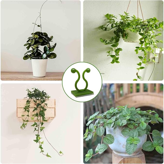 Plant Clips-Plant Climbing Wall Fixture Clips 110PCS, Invisible Clips For Climbing Plants，Self-Adhesive plant wall clips For Plant Support, Sticky Plant Fixture Clips Plant Holder For Pothos