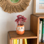 Fox Animal Ceramic Planter for Indoor and Outdoors, 3 x 3 x 4 in., Cute Hand Painted Designed in Argentina, Convenient Drain Hole