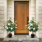 Hananona 2 Pcs Artificial Camellia Trees Faux Camellia Plant in Pot with Flowers Indoor Plants for Spring Home Decor Outdoor Porch Front Door Decor (White, M)
