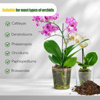 Organic Orchid Potting Mix 1qt, Mixture of Orchid Bark and Perlite, Specifically Formulated for Orchids