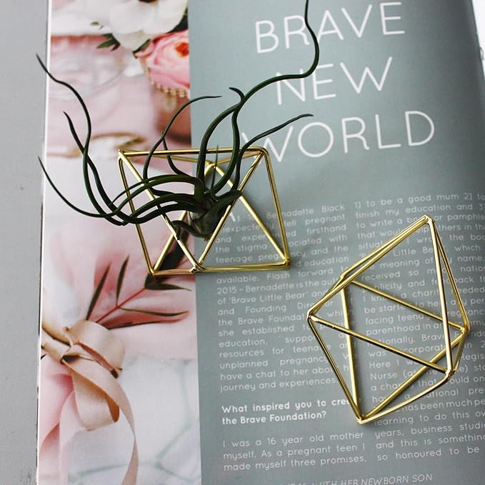 ZOOELAY Mini Air Plants Holders Metal Geometric Hanging Airplants Plant Hanger Airfens Display Stand Planter Hanging Airplants Frame Decor 6PCS