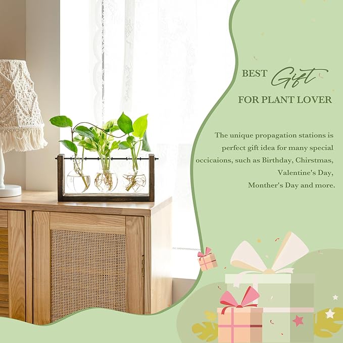 Mkono Plant Propagation Station with Wooden Stand, Wall Hanging Glass Planter Tabletop Terrarium Bulb Vase for Hydroponics Plants Home Office Decor