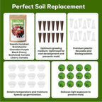 12-Pod Tomato Seed Kit Compatible with All Hydroponics, 6 Pack Varieties: Cherry Tomato, Beefsteak, Black Cherry, Cherokee Purple, Sweet Million, Brandywine, Easy to Grow, High Germination