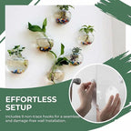 Yarlung 6 Pack Wall Hanging Planters Terrarium, 4.7 Inch Glass Oblate Globe Plants Containers, Wall Mount Clear Flower Vase for Propagating Hydroponics Plants, Air Plants (Plants Not Included)