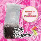 All-in-One Mushroom Grow Bag, Complete Cultivation Kit, 3lb