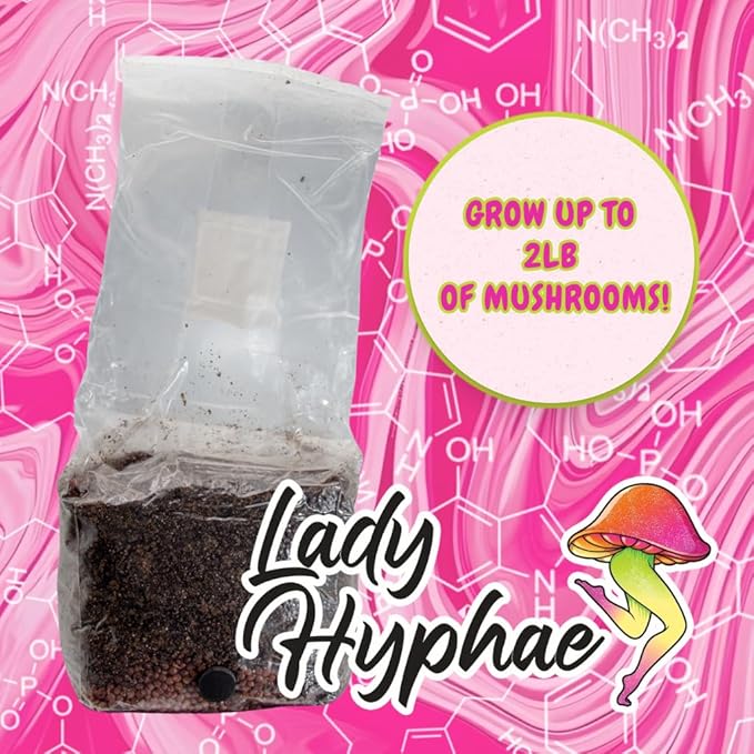 All-in-One Mushroom Grow Bag, Complete Cultivation Kit, 3lb