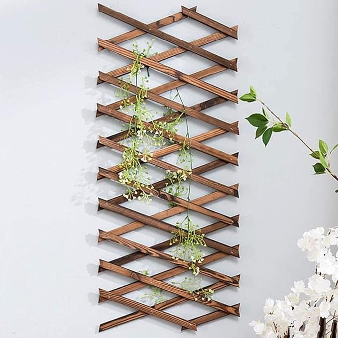 Iceyyyy Wood Lattice Wall Planter - 2Pack Expandable Hanging Wooden Planter Trellis Frame, Indoor Air Plant Vertical Rack Wall Decor for Room Garden