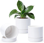 Phoenix Vine 6 Inch Planter Pot with Drainage Hole & Saucer, Deep Water Catch Tray, Straight Cylindrical Round Pot for Plants, Matte White, Pack of 3, 23-B-S-3