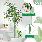 18Pcs Plant Stakes,16inch & 12inch Adjustable Plant Support Stake Plant Sticks for Indoor Outdoor Green Poles with Rings Clips & Ties for Potted Plants Monstera Tomato Orchid Flower
