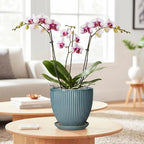6 Inch Plant Pot Indoor, Ceramic Pots for Snake Succulent Plants, Decorative Round Flower Pots with Drainage Hole and Saucer, Modern Planter, Bookshelf Decor, Gifts for Men Women, Glaze Blue