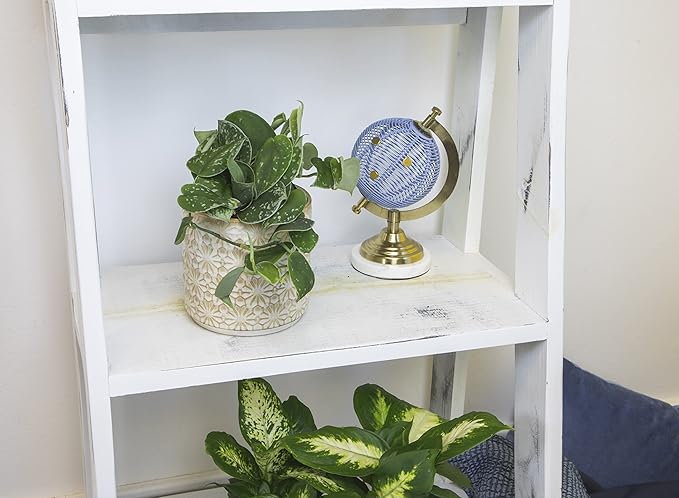 Altman Plants, Live Pothos Plants (4PK) Indoor Plants Live Houseplants, Pothos Live Plant House Plants Indoors Live Plants, Money Plant Indoor Pothos Plant Decor, Devils Ivy Trailing Plants Live