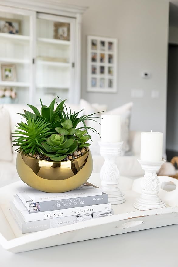 Hollyone Succulents Plants Artificial in Pots Fake Succulents for Outdoors Indoor Faux Succulent Arrangement Potted Plant in Gold Ceramics Planter Bowl for Garden Office Desk Living Room Home Decor