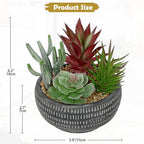 Briful Fake Succulents in Black Cement Pot, Artificial Succulent Plants Arrangement for Home Decor, Small Faux Potted Plants Tabletop Centerpiece, Desk Office Bathroom Shelf Decorations