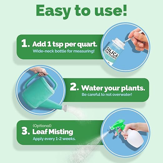 Silica for Plants, Liquid Silicon Plant Food for Strong Stems and Healthy Leaves, Liquid Plant Fertilizer, 32 oz (1 Quart)