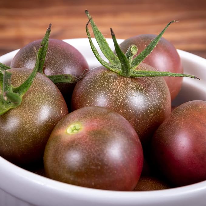 Bonnie Plants Black Cherry Tomato, 19.3 oz., 4-Pack, Live Plants