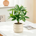 Small Money Tree Bonsai 11.4 inch Artificial Desk Plant in White Ceramic Pot, Realistic Indoor Faux Potted Pachira Money Plant for Home Office Living Room Decor(Maintenance Free)