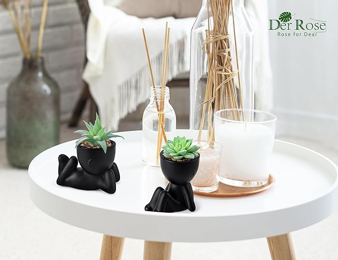 Der Rose 2 Pack Fake Plants Succulent Plants Artificial for Home Bathroom Living Room Office Decor