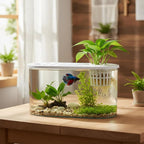 1.2 Gallon Betta Fish Tank, Desktop Aquarium with Lid & Plant Basket, Shatterproof Plastic Fish Bowl for Home Office Dorm Decor