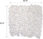 Rocks for Plants. White Decorative Pebbles. 0.5 to 1 Inch 18 lbs. for Garden, Landscaping, Indoor, Vase fillers, Crafting, Succulents, pots, Plants