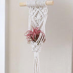 4 Pack Air Plants Holders, Wall Planters for Indoor Plants | Macrame Plant Hanger, Air Plant Hanger for Air Fern, Tillandsias (for Air Plant, NO Plant Included)