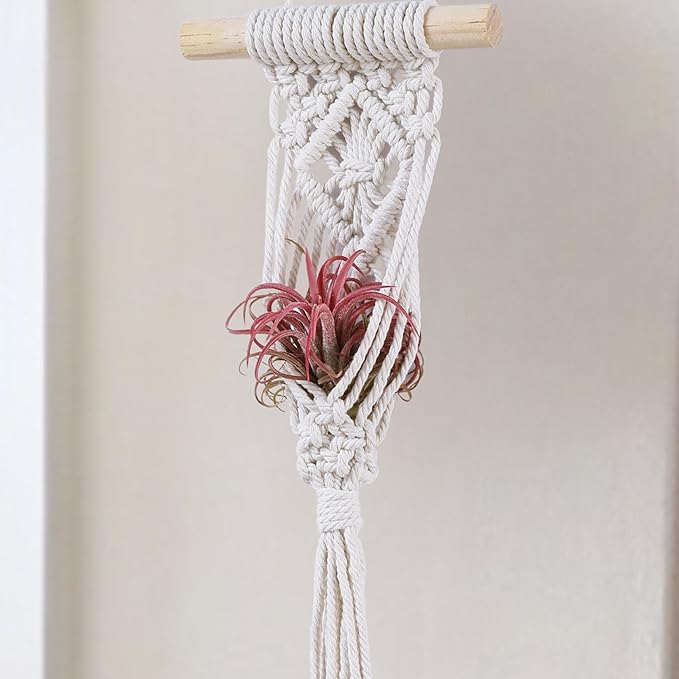 4 Pack Air Plants Holders, Wall Planters for Indoor Plants | Macrame Plant Hanger, Air Plant Hanger for Air Fern, Tillandsias (for Air Plant, NO Plant Included)