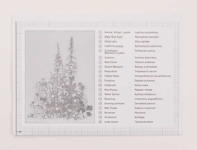 Thea Gouverneur - Counted Cross Stitch Kit - American Wild Flowers - Aida Black - 16 Count - Embroidery Kit for Adults - DMC Embroidery Threads and Other Cross Stitch Supplies Included - 554.05