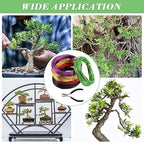 4 Roll Bonsai Wire,with Hand Plier Aluminum Bonsais Training Wire Anodized Aluminum Bonsai Wire Tools for Fine Trunk & Branch Control(Size:5 Roll)