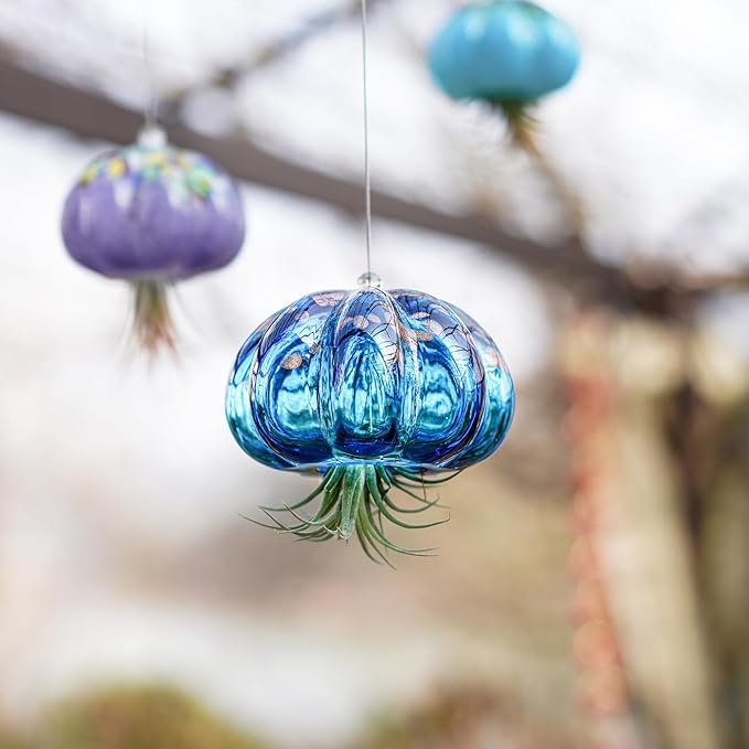 H&D HYALINE & DORA Blown Glass Jellyfish Hanging Air Planter, Cute Blue Jellyfish Air Plant Holder Gifts for Women Room Garden Wedding Party Decor (No Plants)