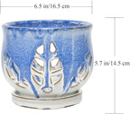 W&W Orchid Pot with Holes and Saucer for Repotting and Better Grow, Blue and White, 6.5 Inches