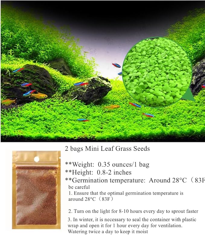 2 Pack Aquarium Plants for Fish Tank, Easy Growing, Real Carpet Decor for Fish Tank/Terrarium