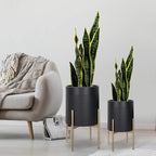 Oakrain Planters for Indoor Plants, Set of 2 Mid Century Modern Planter with Stand, Decorative Metal Planter Pots for Living Room, Office, Garden or Balcony, Matte Black, 10"&12"
