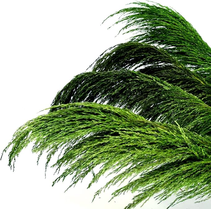 Green Pampas Grass Decor Tall for Floor Vase, Dried Pampas Grass, Large Pompas Floral, Elegant Feather Flowers for Wedding Decorations, Living Room Decor (Natural Green, 6pcs 43.3"(110cm))